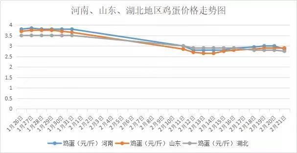 南阳今日鸡蛋价格最新动态