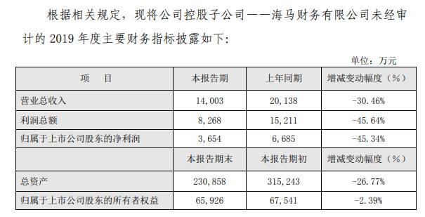 海马股票最新动态与行业趋势展望，公司动态更新与前景展望