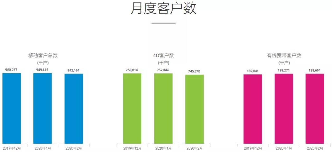 2021澳门天天开彩,数据导向执行解析_WP33.184