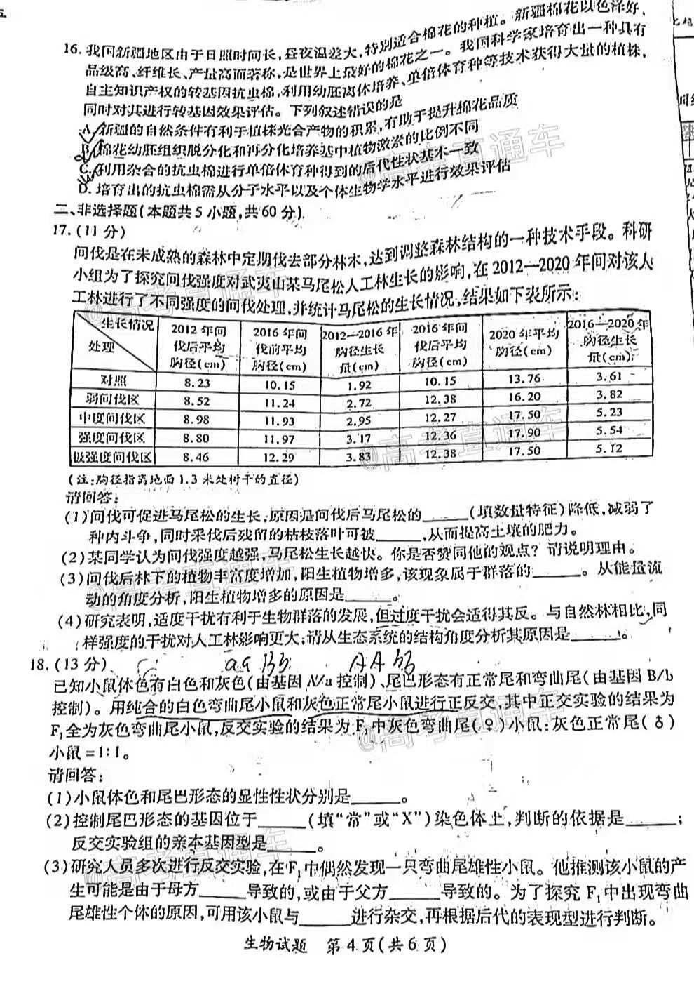 澳门三期必内必中一期,细致分析解答解释现象_活跃版5.432