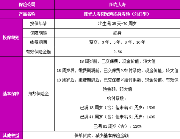 新澳天天彩免费资料2024老,实地验证解析落实_热销型5.601