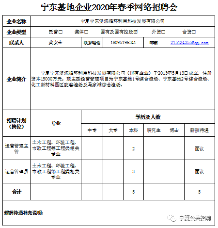 宁东化工最新招聘信息详解及解读