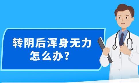 新澳精准资料免费提供,诠释分析定义_修正版9.297