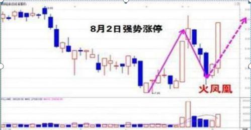 新奥门特免费资料大全火凤凰,实效性解读策略_PT68.574