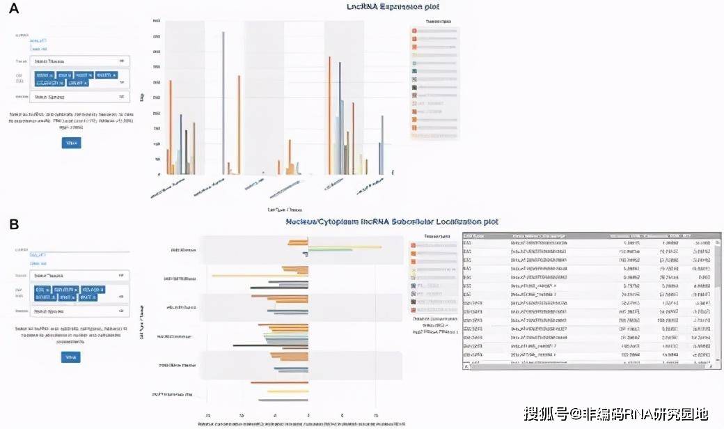 2023澳门资料大全免费,适用性计划解读_3DM54.614