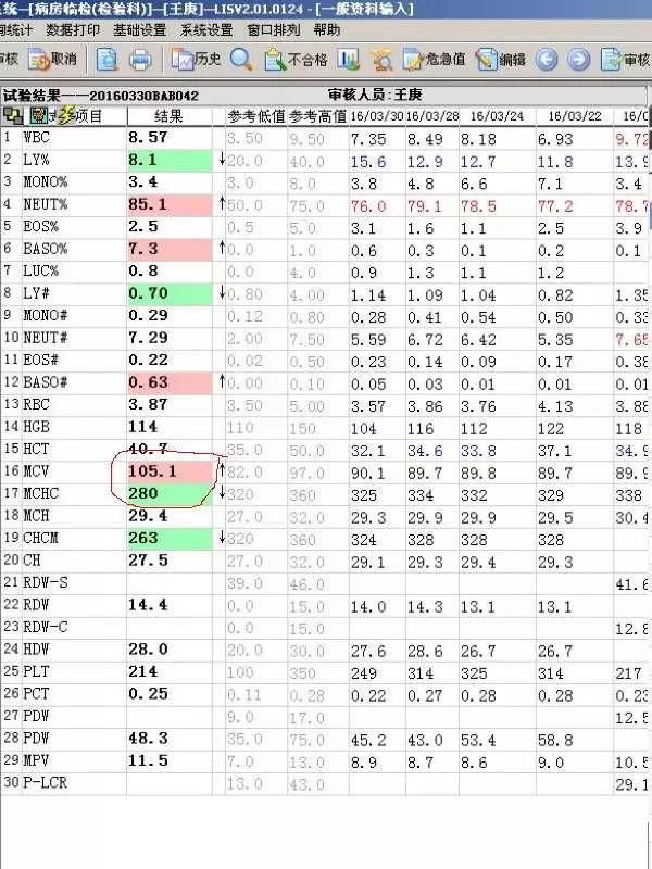 2024澳门开奖历史记录结果查询,灵活解析实施_R版24.60