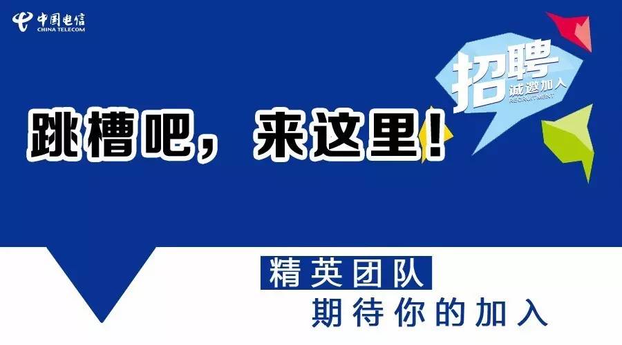 莘县最新全面招聘信息详解