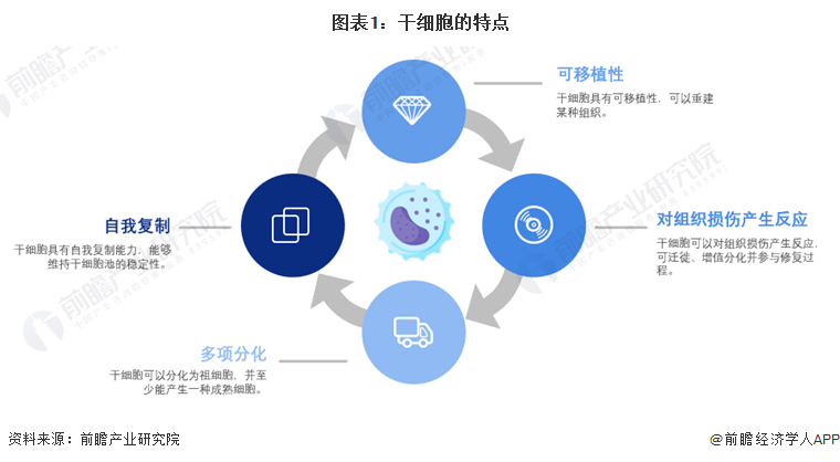 干细胞技术揭秘未来医学崭新篇章，最新内涵解读