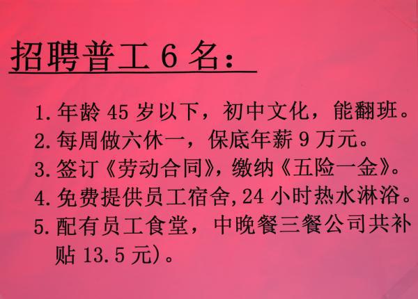 上海保育员招聘详解，职业概述、要求与未来展望