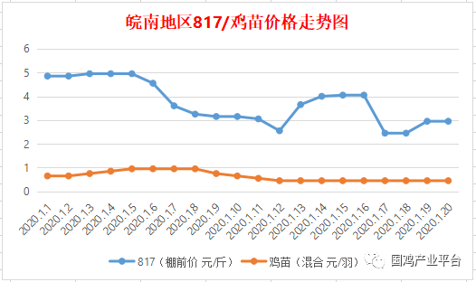 安徽麻鸡最新价格行情解析